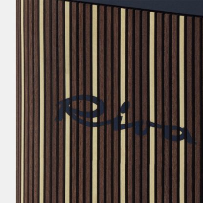 Immagine di Beosound A5 RIVA EDITION